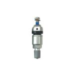 Autel Valve Silver Clamp-in with Screw 1 pcs (101000538)